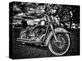 Harley-Stephen Arens-Stretched Canvas