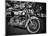 Harley-Stephen Arens-Mounted Premium Photographic Print