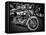 Harley-Stephen Arens-Framed Stretched Canvas