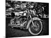 Harley-Stephen Arens-Mounted Photographic Print