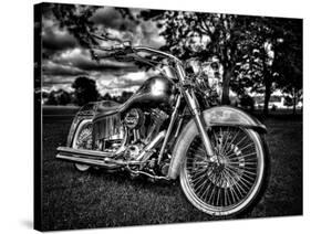 Harley-Stephen Arens-Stretched Canvas