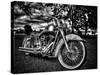 Harley-Stephen Arens-Stretched Canvas