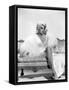 HARLOW, 1965 directed by GORDON DOUGLAS Carroll Baker (b/w photo)-null-Framed Stretched Canvas