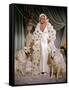 HARLOW, 1965 directed by GORDON DOUGLAS Carroll Baker (photo)-null-Framed Stretched Canvas