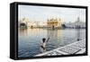 Harmandir Sahib (Golden Temple), Amritsar, Punjab, India-Ben Pipe-Framed Stretched Canvas