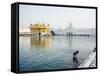 Harmandir Sahib (Golden Temple), Amritsar, Punjab, India-Ben Pipe-Framed Stretched Canvas