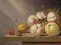 Still Life of Fruit on a Ledge (Panel)-Harmen van Steenwyck-Giclee Print