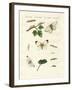 Harmful Butterflies-null-Framed Giclee Print