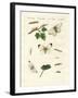 Harmful Butterflies-null-Framed Giclee Print