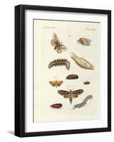 Harmful Butterflies-null-Framed Giclee Print