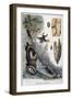 Harmful Insects, 1897-F Meaulle-Framed Giclee Print