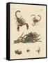 Harmful Insects from Hot Countries-null-Framed Stretched Canvas