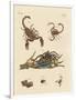 Harmful Insects from Hot Countries-null-Framed Premium Giclee Print