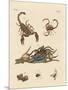 Harmful Insects from Hot Countries-null-Mounted Premium Giclee Print