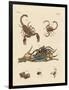 Harmful Insects from Hot Countries-null-Framed Premium Giclee Print
