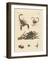 Harmful Insects from Hot Countries-null-Framed Giclee Print