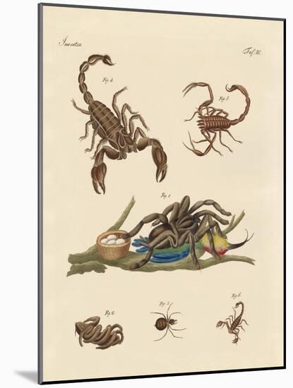 Harmful Insects from Hot Countries-null-Mounted Giclee Print