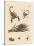 Harmful Insects from Hot Countries-null-Stretched Canvas