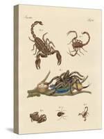 Harmful Insects from Hot Countries-null-Stretched Canvas