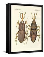 Harmful Insects-null-Framed Stretched Canvas