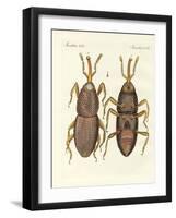 Harmful Insects-null-Framed Giclee Print