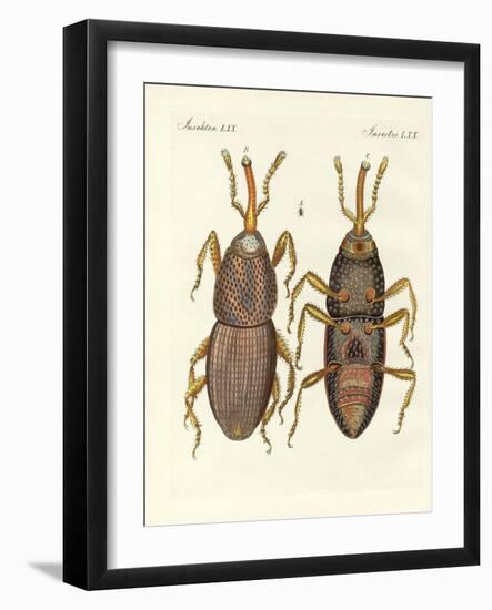 Harmful Insects-null-Framed Giclee Print