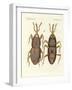 Harmful Insects-null-Framed Giclee Print