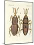 Harmful Insects-null-Mounted Giclee Print