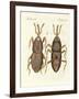 Harmful Insects-null-Framed Giclee Print