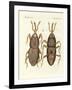 Harmful Insects-null-Framed Giclee Print