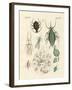 Harmful Insects-null-Framed Giclee Print