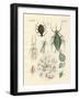 Harmful Insects-null-Framed Giclee Print