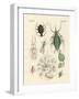 Harmful Insects-null-Framed Giclee Print