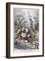 Harmful Plants, 1897-F Meaulle-Framed Giclee Print