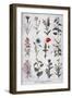 Harmful Plants, 1897-F Meaulle-Framed Giclee Print