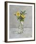 Harmonious Flowers-Steven Johnson-Framed Giclee Print