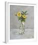 Harmonious Flowers-Steven Johnson-Framed Giclee Print