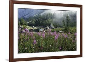 Harmonious Haven-Wild Wonders of Europe-Framed Giclee Print