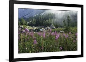 Harmonious Haven-Wild Wonders of Europe-Framed Giclee Print