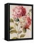 Harmonious Hydrangeas Linen-Lisa Audit-Framed Stretched Canvas
