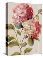 Harmonious Hydrangeas Linen-Lisa Audit-Stretched Canvas