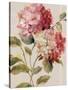 Harmonious Hydrangeas Linen-Lisa Audit-Stretched Canvas