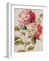 Harmonious Hydrangeas Linen-Lisa Audit-Framed Art Print