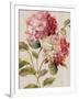 Harmonious Hydrangeas Linen-Lisa Audit-Framed Art Print