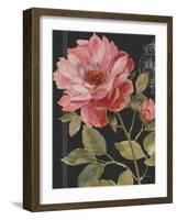 Harmonious Rose Black-Lisa Audit-Framed Art Print