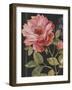 Harmonious Rose Black-Lisa Audit-Framed Art Print