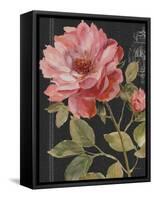 Harmonious Rose Black-Lisa Audit-Framed Stretched Canvas