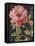 Harmonious Rose Black-Lisa Audit-Framed Stretched Canvas