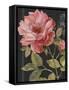 Harmonious Rose Black-Lisa Audit-Framed Stretched Canvas