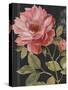 Harmonious Rose Black-Lisa Audit-Stretched Canvas